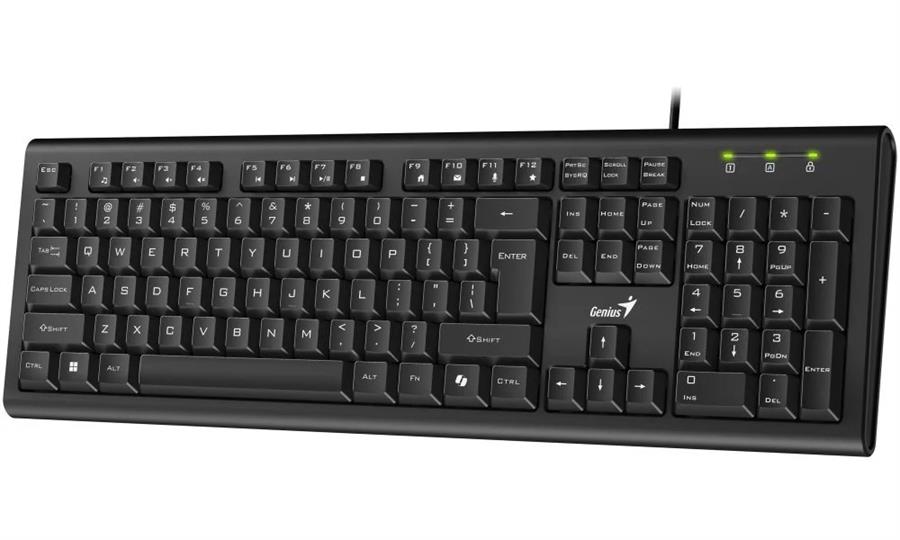 TECLADO GENIUS KB-113